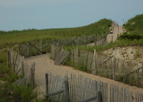 Post image for Nauset Beach | Picture Massachusetts