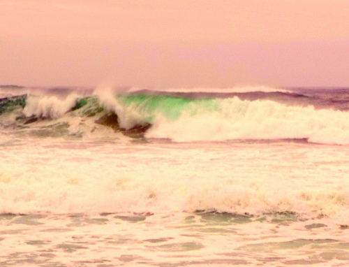 Cape Cod Beach in the summer.