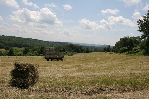 Post image for Farm in Lenox | Picture Massachusetts