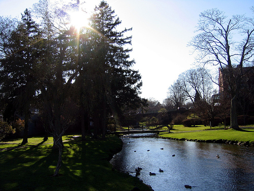 Post image for Plymouth River | Picture Massachusetts