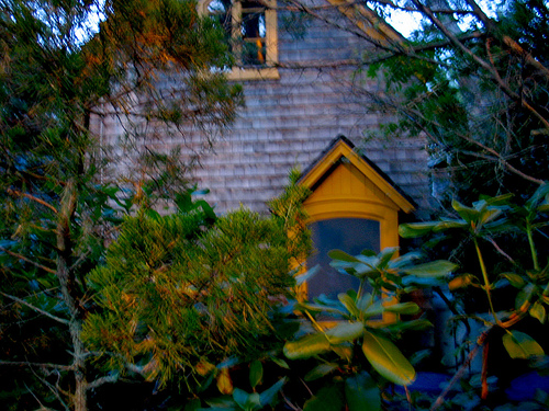 Post image for Shel Silverstein Gingerbread House on Marthas Vineyard | Picture Massachusetts