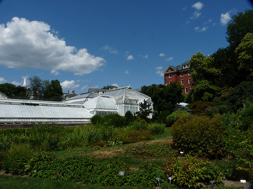 Post image for Green House at Smith College | Picture Massachusetts