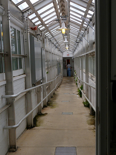 Post image for Inside the Green House at Smith College | Picture Massachusets