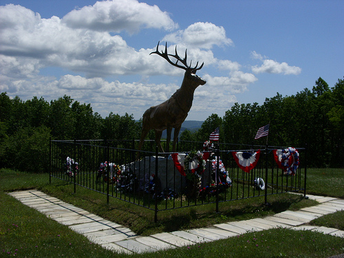 Post image for Moose Statue | Picture Massachusetts