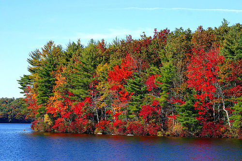 Post image for Autumn | Picture Massachusetts