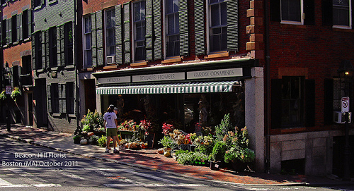 Post image for Florist | Picture Massachusetts