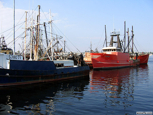 Post image for Fish Boats in New Bedford | Picture Massachusetts