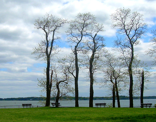 Post image for Park in Beverly | Picture Massachusetts