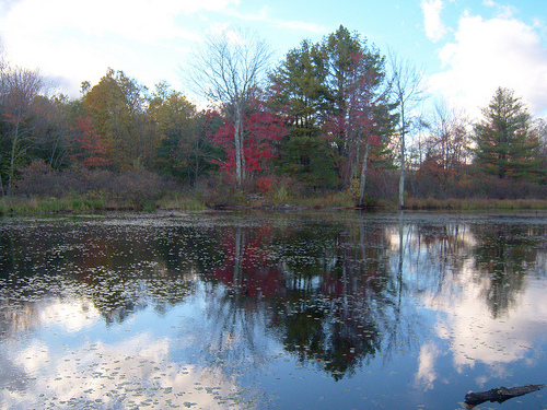 Post image for Pond | Picture Massachusetts