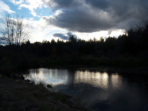 Post image for Pond at Sunset | Picture Massachusetts