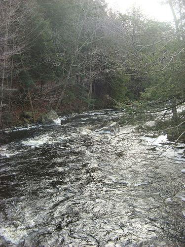 Post image for River on Route 8 | Picture Massachusetts